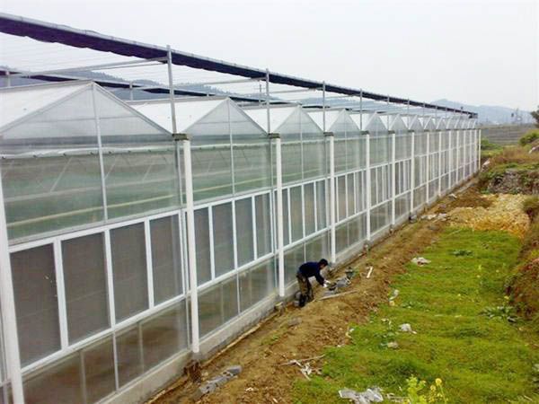 陽(yáng)光板（pc）溫室 