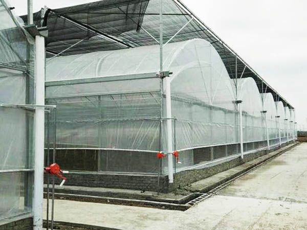 雙拱雙膜溫室