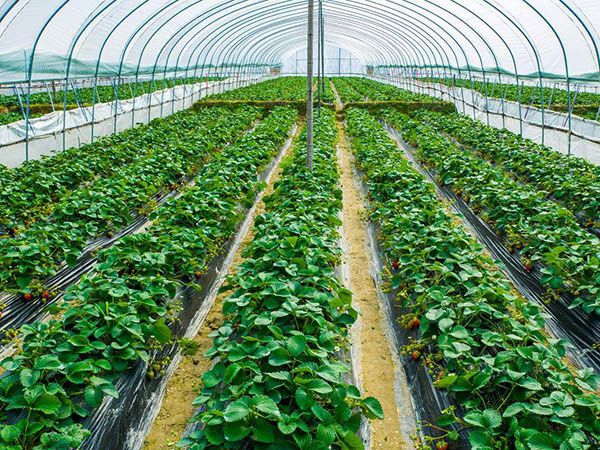 45315457fa6bff0d9a38138261147eeb.jpg 45315457fa6bff0d9a38138261147eeb.jpg